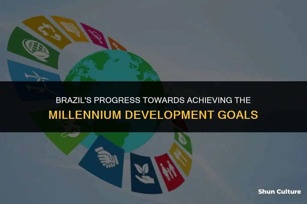 is brazil on track to reach all mdg