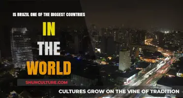 Is Brazil a Global Giant? Exploring Its Size and Significance
