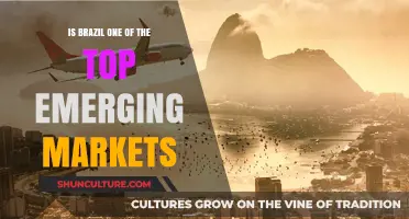 Brazil's Rise: A Key Player Among Emerging Markets?