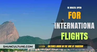 Brazil's Skies: Open for International Flights Amidst Pandemic