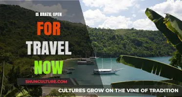 Exploring Brazil: Current Travel Status and Essential Tips