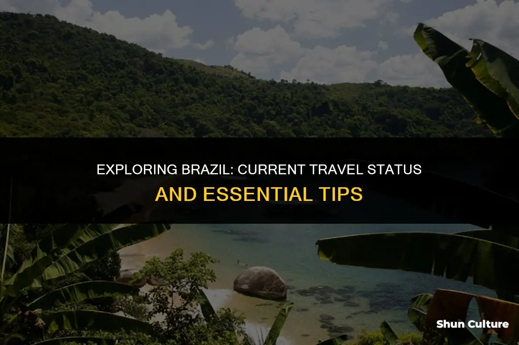 is brazil open for travel now