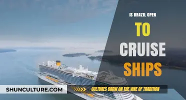 Exploring Brazil's Shores: A Guide to Cruise Ship Tourism