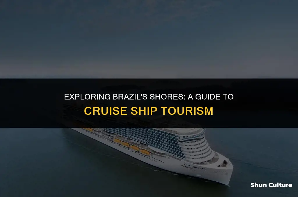 is brazil open to cruise ships