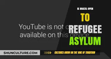 Brazil's Refugee Asylum Policies: A Beacon of Hope or Closed Doors?