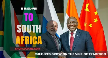 Exploring Brazil's Warm Embrace of South African Relations