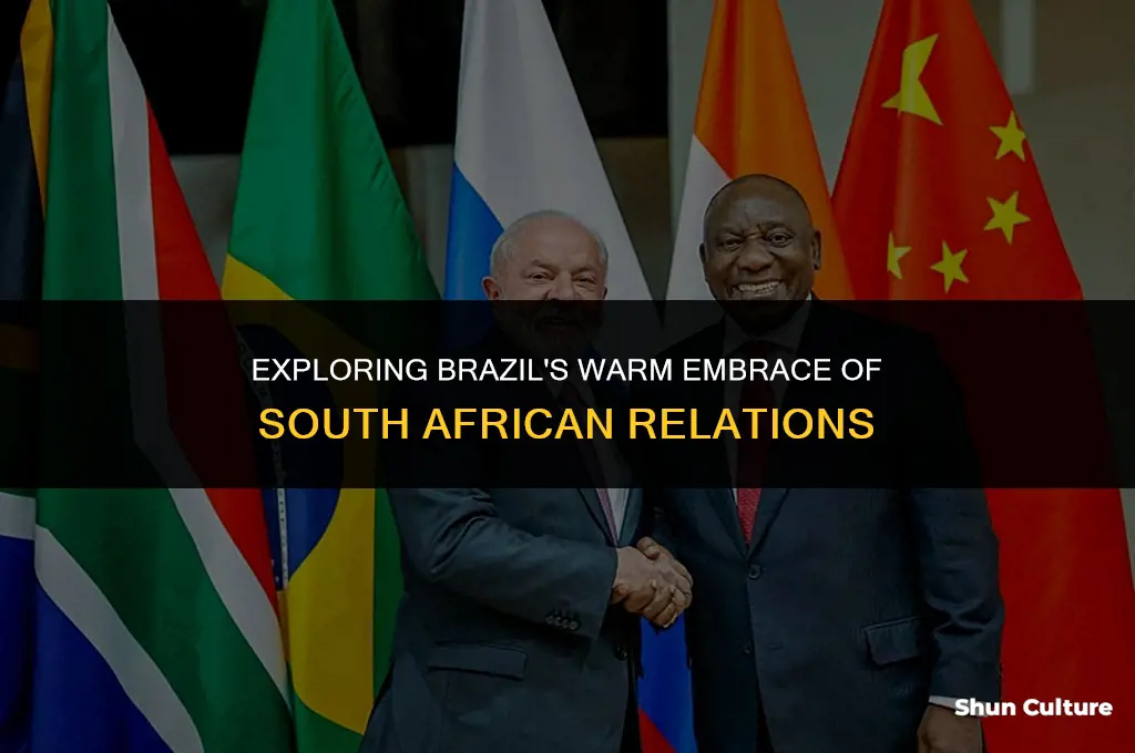 is brazil open to south africa