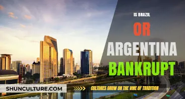 Economic Turmoil in Latin America: Is Brazil or Argentina Bankrupt?