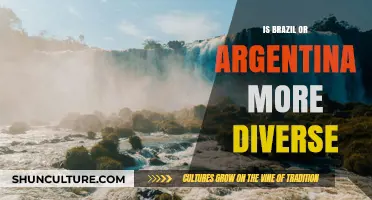 Exploring Diversity: A Comparative Look at Brazil and Argentina
