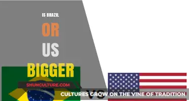Comparing Giants: Brazil vs. US in Size and Influence