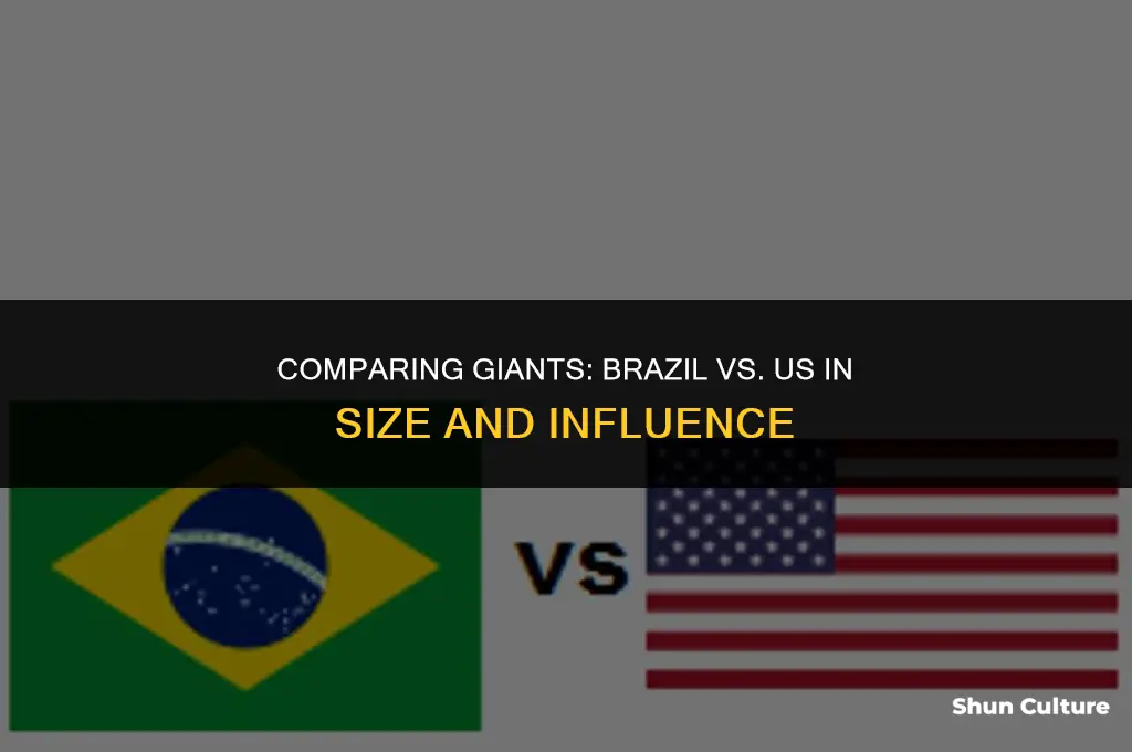 is brazil or us bigger