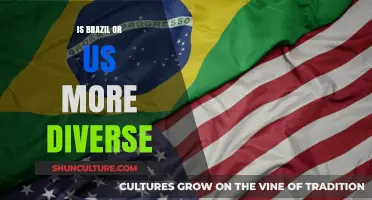 Exploring Diversity: A Comparative Look at Brazil and the US