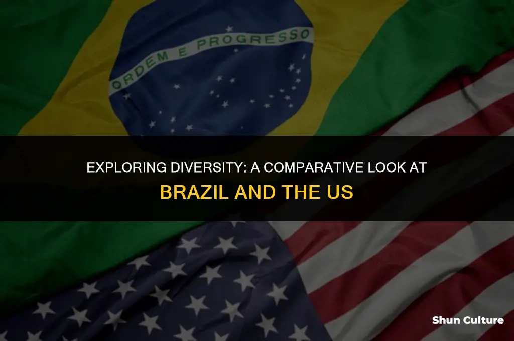 is brazil or us more diverse