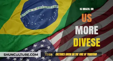Exploring Diversity: A Comparative Look at Brazil and the US