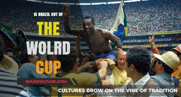 Brazil's World Cup Journey Ends: A Nation's Heartbreak