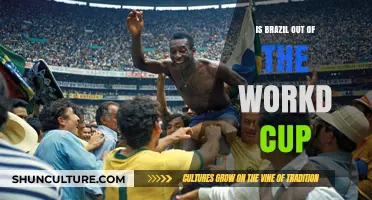 Brazil's World Cup Journey Ends: A Nation's Heartbreak