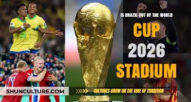 Brazil's 2026 World Cup Stadium Status: Out or Still In?
