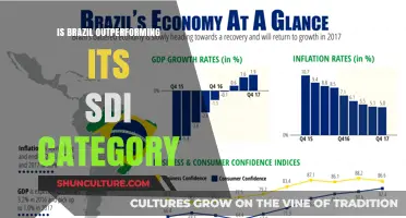 Brazil's Economic Rise: Outpacing Its SDI Category?