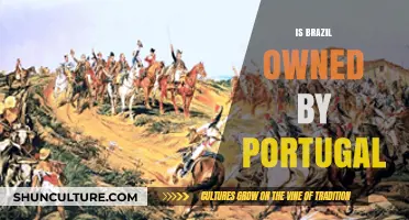 Exploring Brazil's Independence: Is It Still Tied to Portugal?