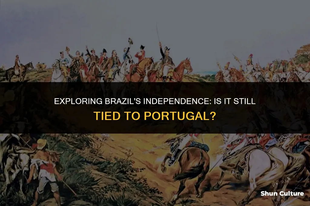 is brazil owned by portugal