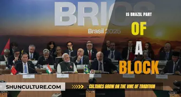 Exploring Brazil's Role in Global Economic Blocks