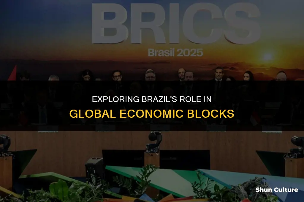 is brazil part of a block