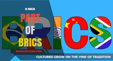 Exploring Brazil's Role in the BRICS: A Comprehensive Analysis