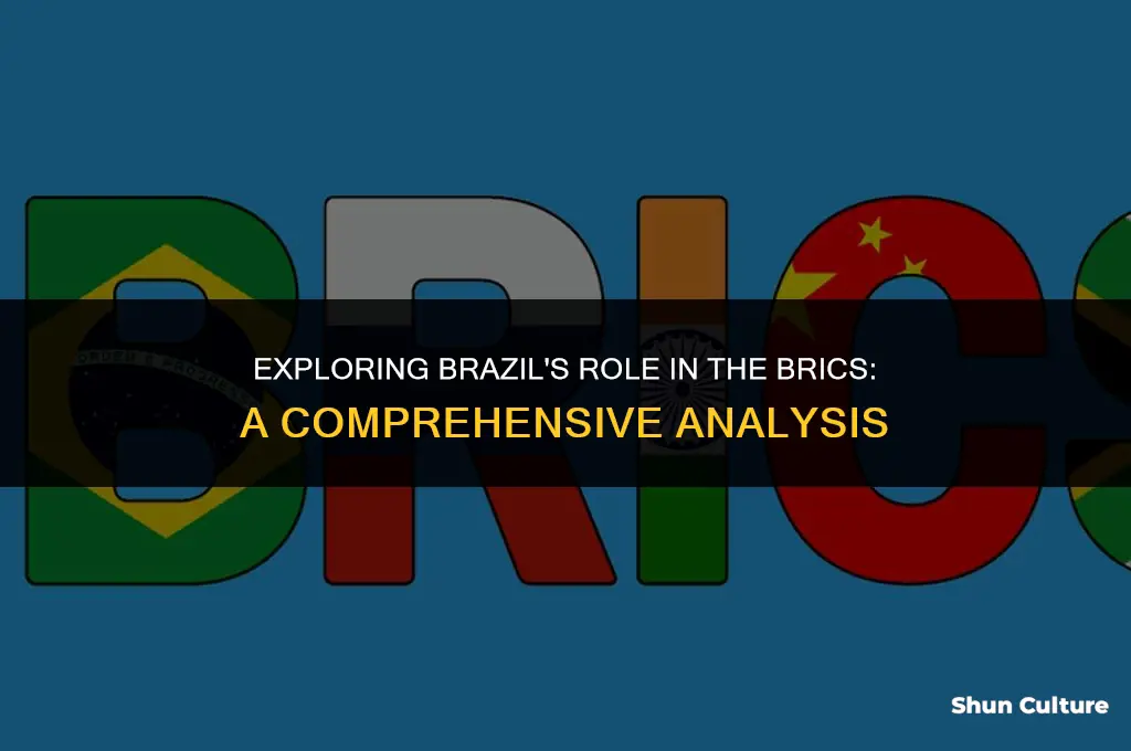 is brazil part of brics