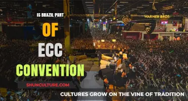 Exploring Brazil's Role in the ECC Convention: A Comprehensive Overview