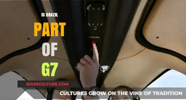 Brazil's G7 Membership: A Closer Look at the Facts