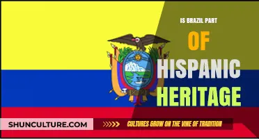 Is Brazil Hispanic? Exploring Cultural Heritage and Language Connections