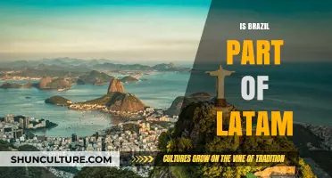 Exploring Brazil's Role and Identity Within Latin America