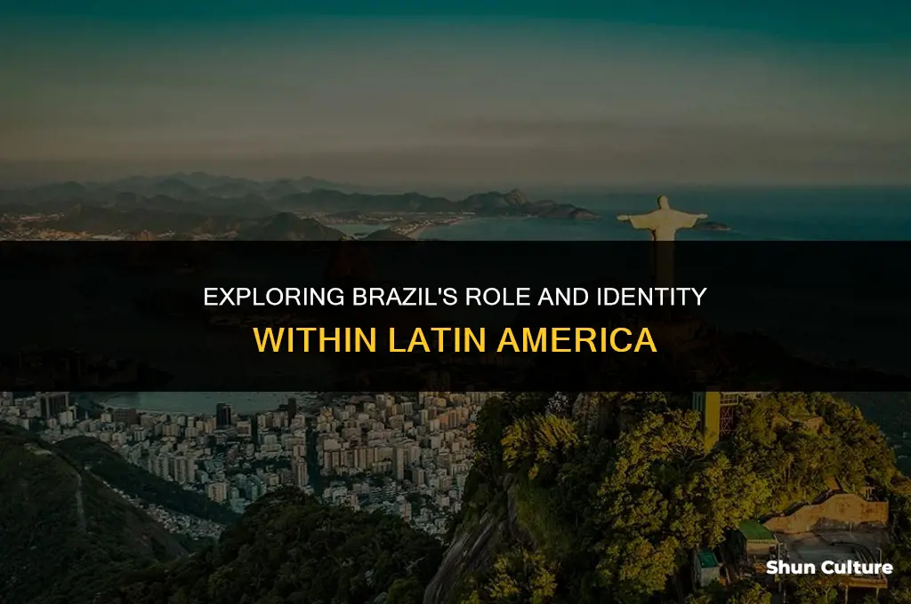 is brazil part of latam