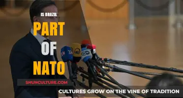 Is Brazil a NATO Member? Exploring Its Global Alliances