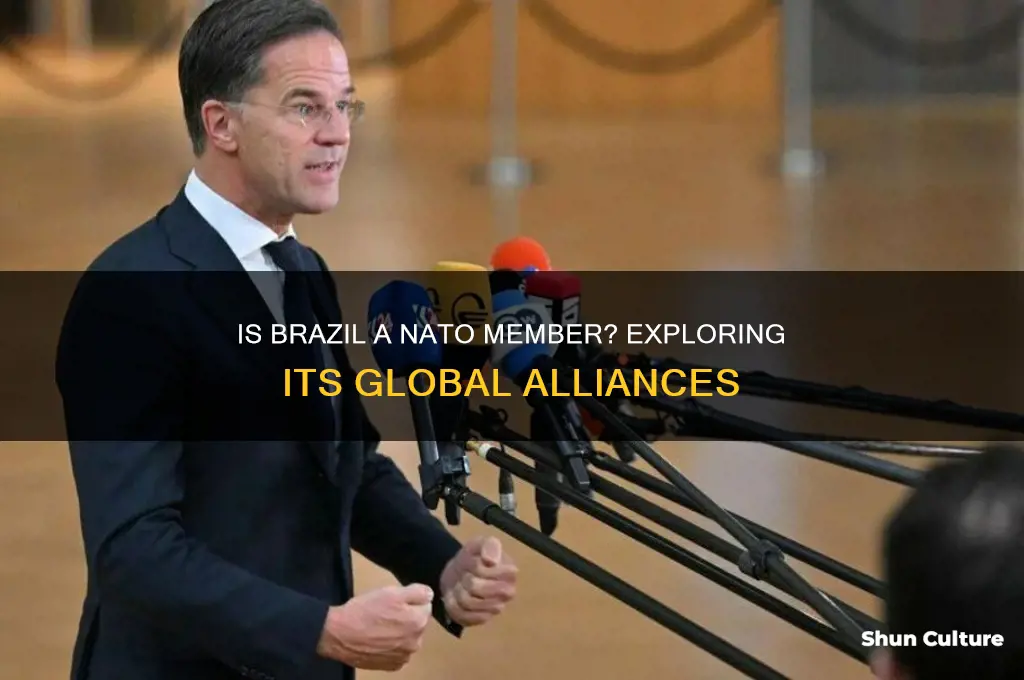is brazil part of nato