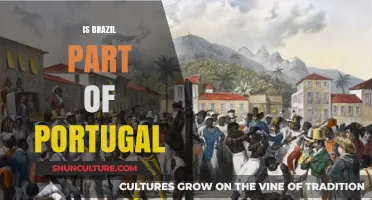 Exploring Brazil's Colonial Roots: A Historical Connection to Portugal