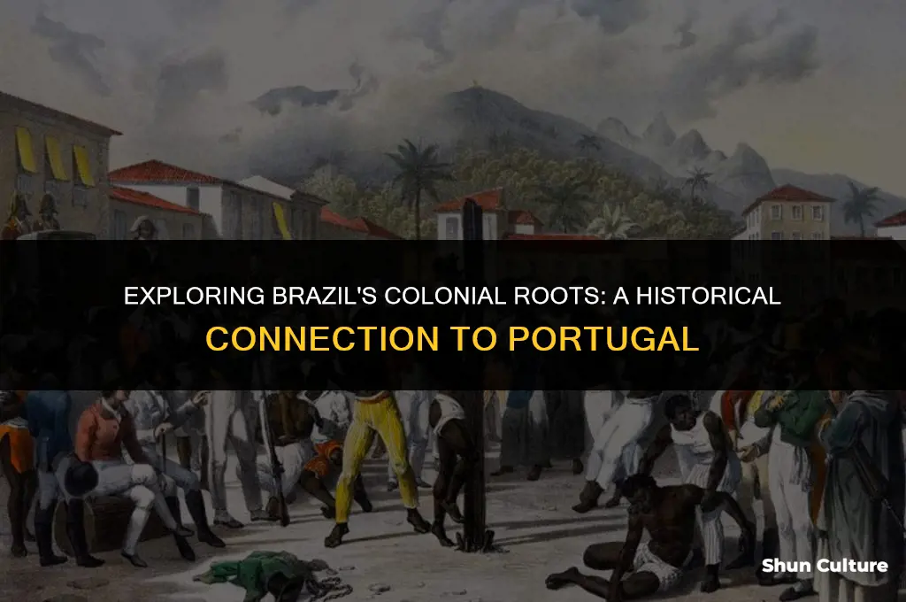 is brazil part of portugal