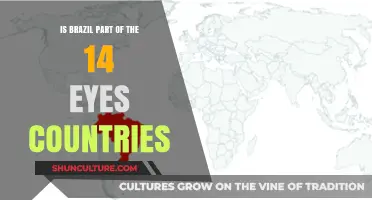 Brazil's Surveillance Status: Is It Among the 14 Eyes Nations?