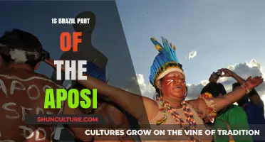Exploring Brazil's Role in the APOS: A Comprehensive Analysis