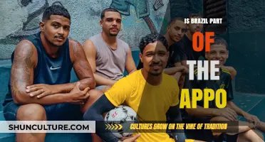 Exploring Brazil's Role in the APPO: A Comprehensive Analysis