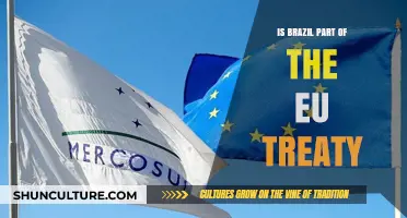 Brazil's Relationship with the EU: Treaty Membership Explained