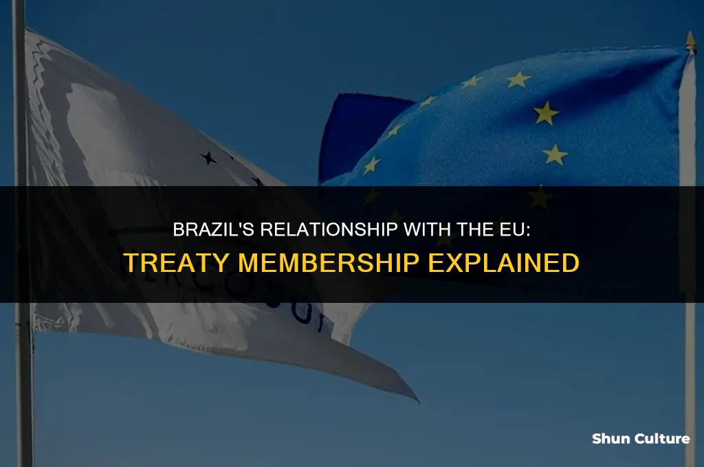 is brazil part of the eu treaty
