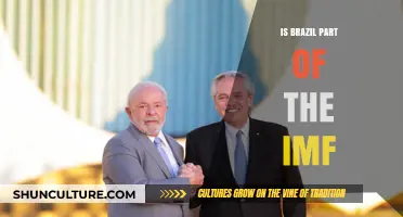 Exploring Brazil's Relationship with the IMF: A Comprehensive Overview