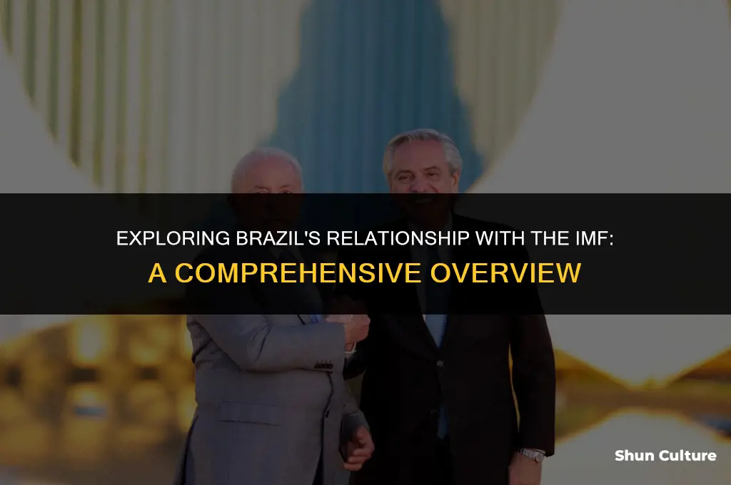 is brazil part of the imf