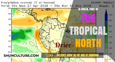 Exploring Brazil's Climate: Is It Part of the Tropical North?