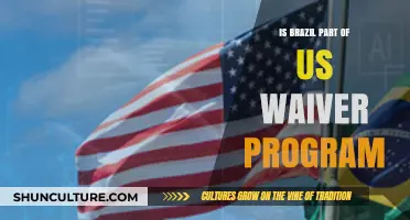 Exploring Brazil's Inclusion in the US Waiver Program: Facts and Insights