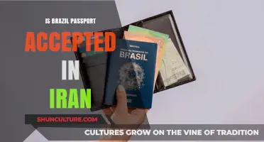 Exploring Travel Possibilities: Brazil Passport Acceptance in Iran