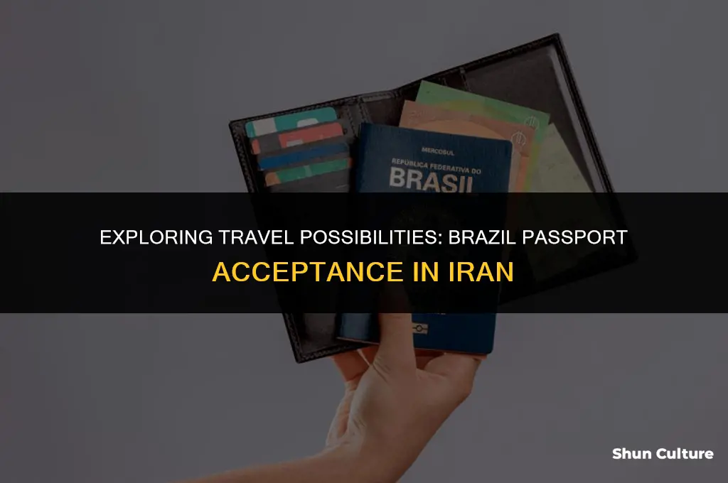 is brazil passport accepted in iran