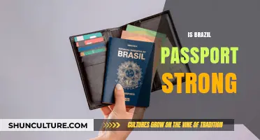 Exploring the Strength and Global Standing of Brazil's Passport