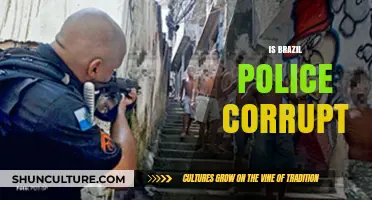 Unveiling the Truth: Corruption Allegations Within Brazil's Police Force